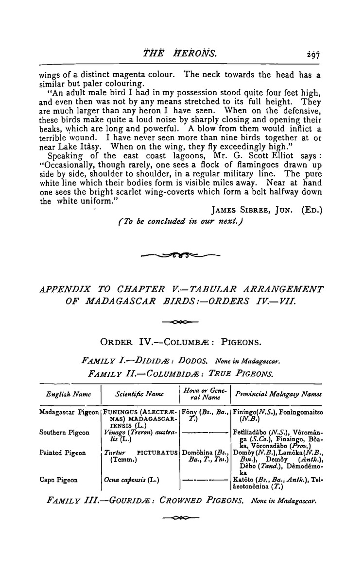 Antananarivo annual and Madagascar magazine - Page 297