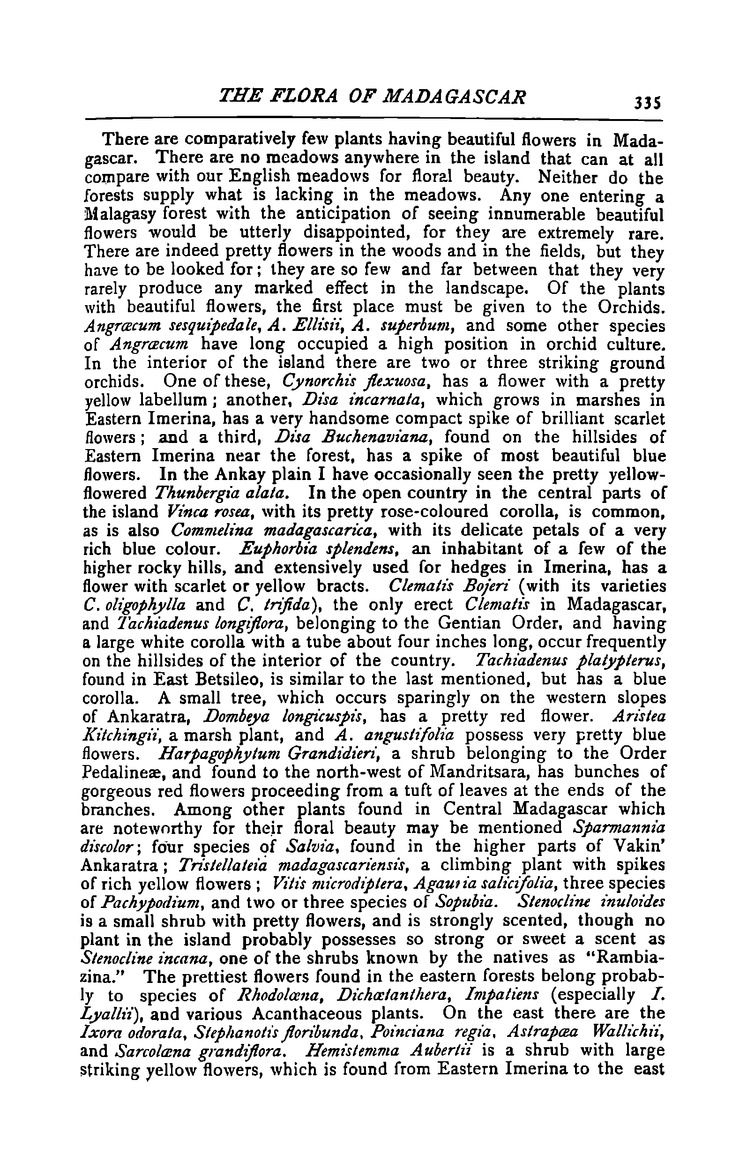 Antananarivo annual and Madagascar magazine - Page 335