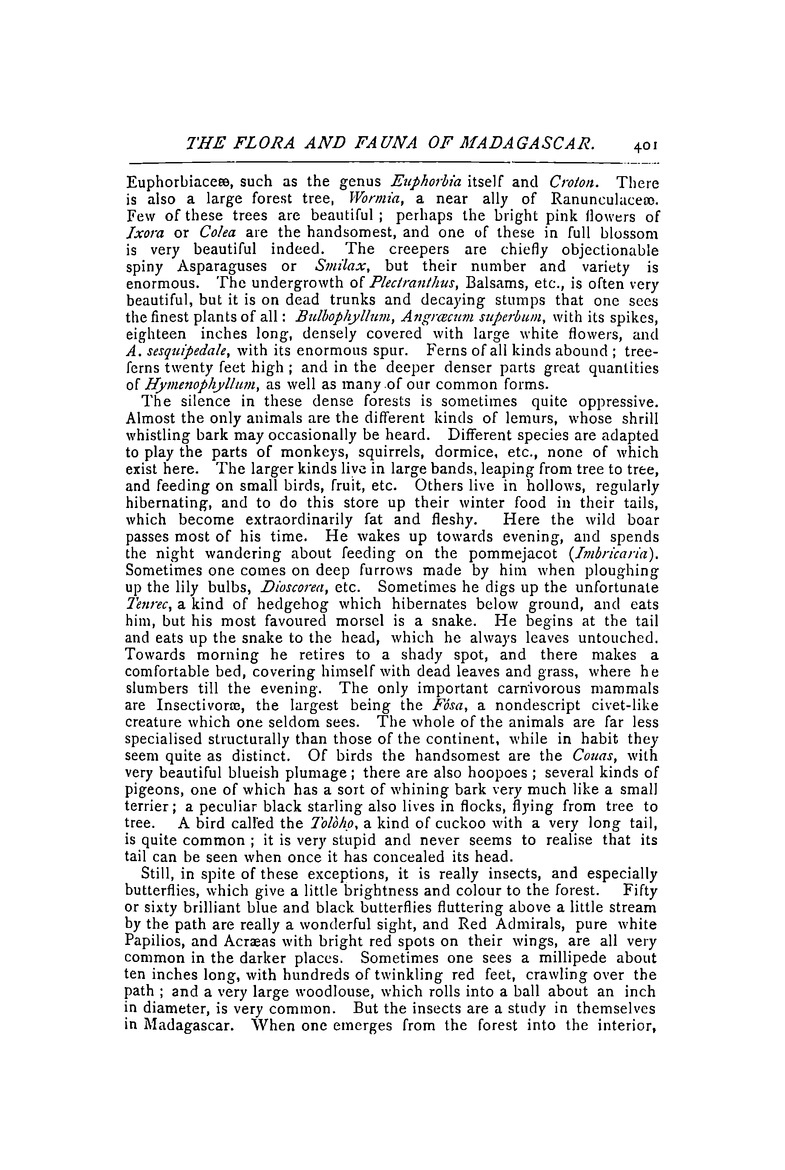 Antananarivo annual and Madagascar magazine - Page 401