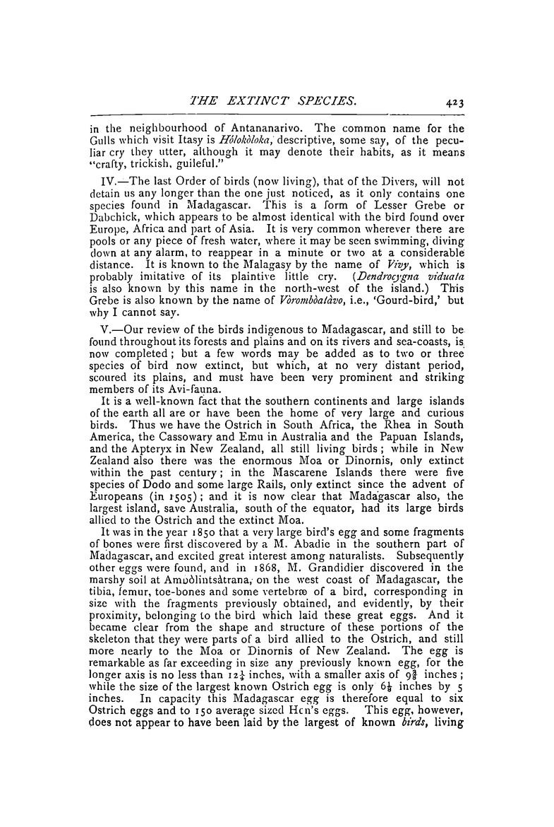 Antananarivo annual and Madagascar magazine - Page 423