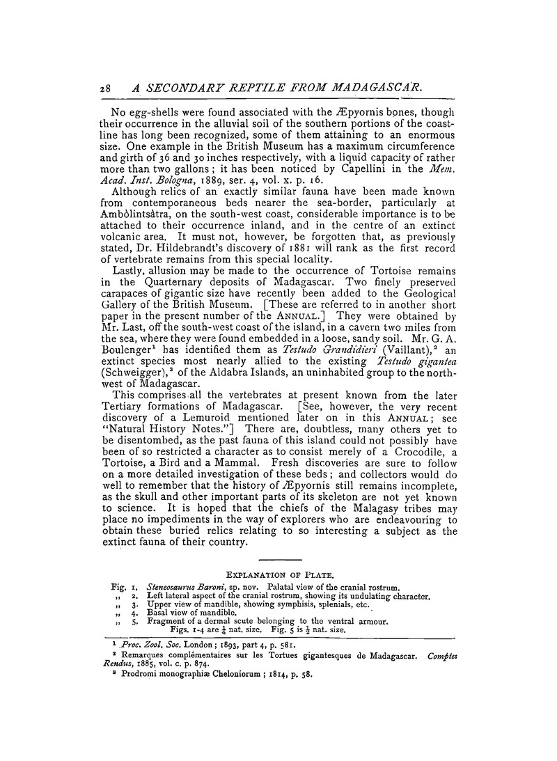 Antananarivo annual and Madagascar magazine - Page 28