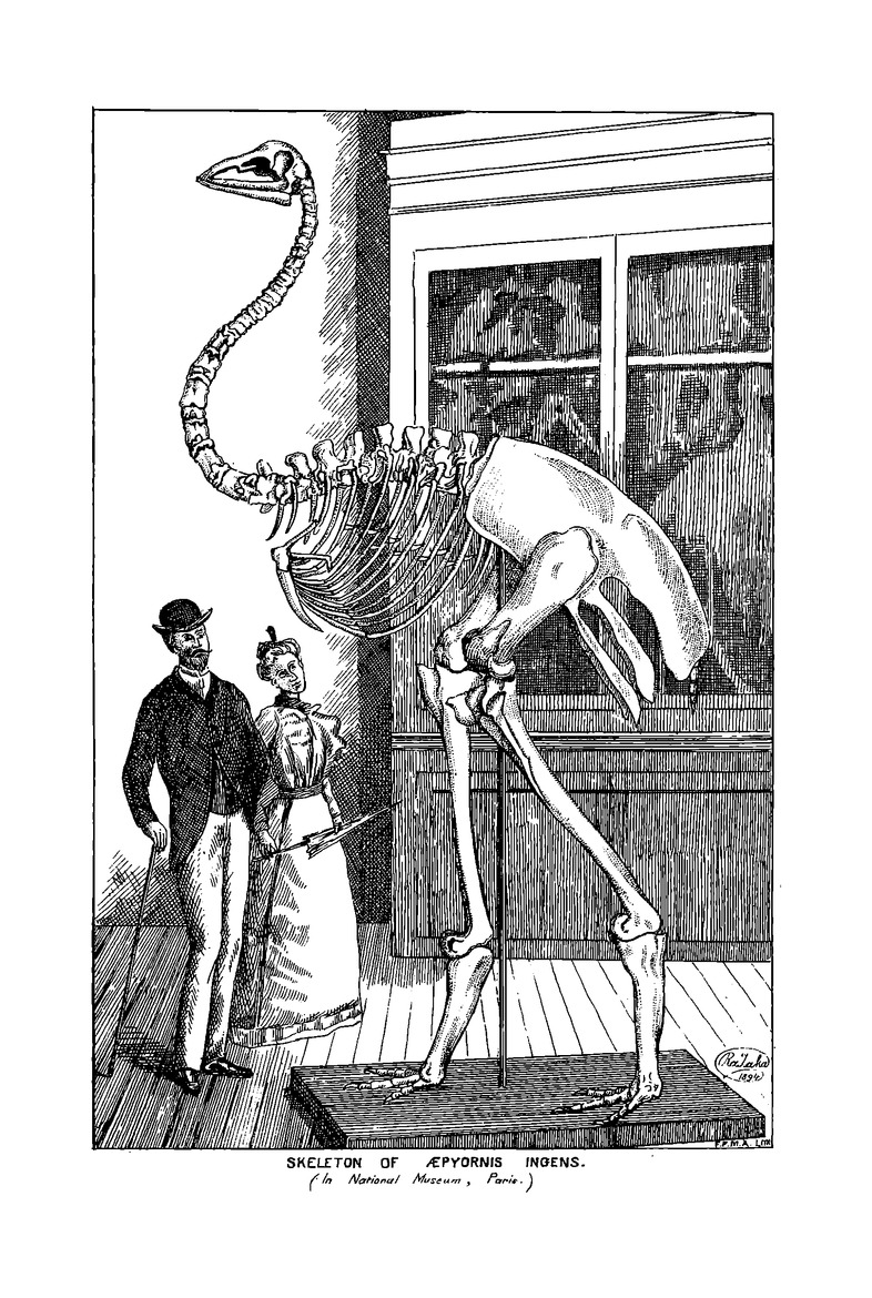 Antananarivo annual and Madagascar magazine - Page v