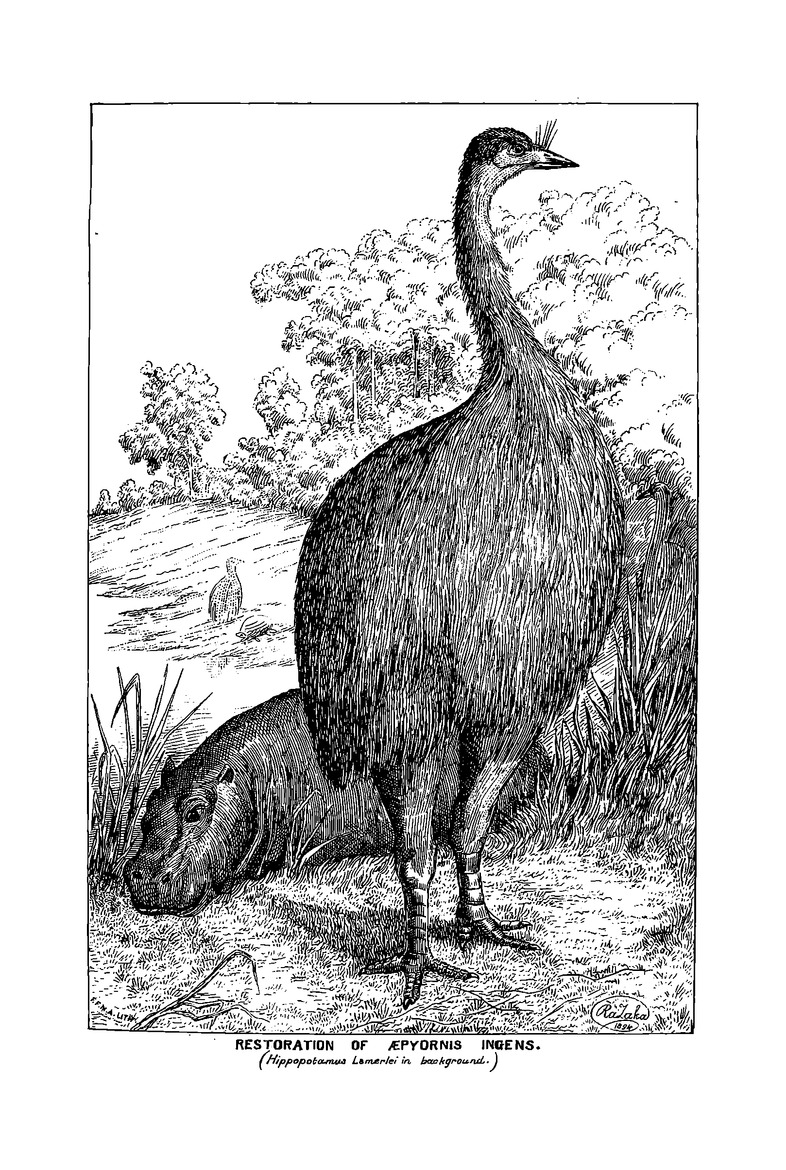 Antananarivo annual and Madagascar magazine - Page vi