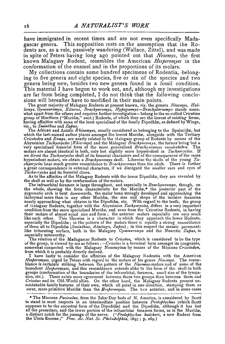 Antananarivo annual and Madagascar magazine - New Page