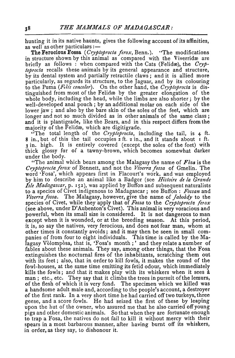 Antananarivo annual and Madagascar magazine - New Page