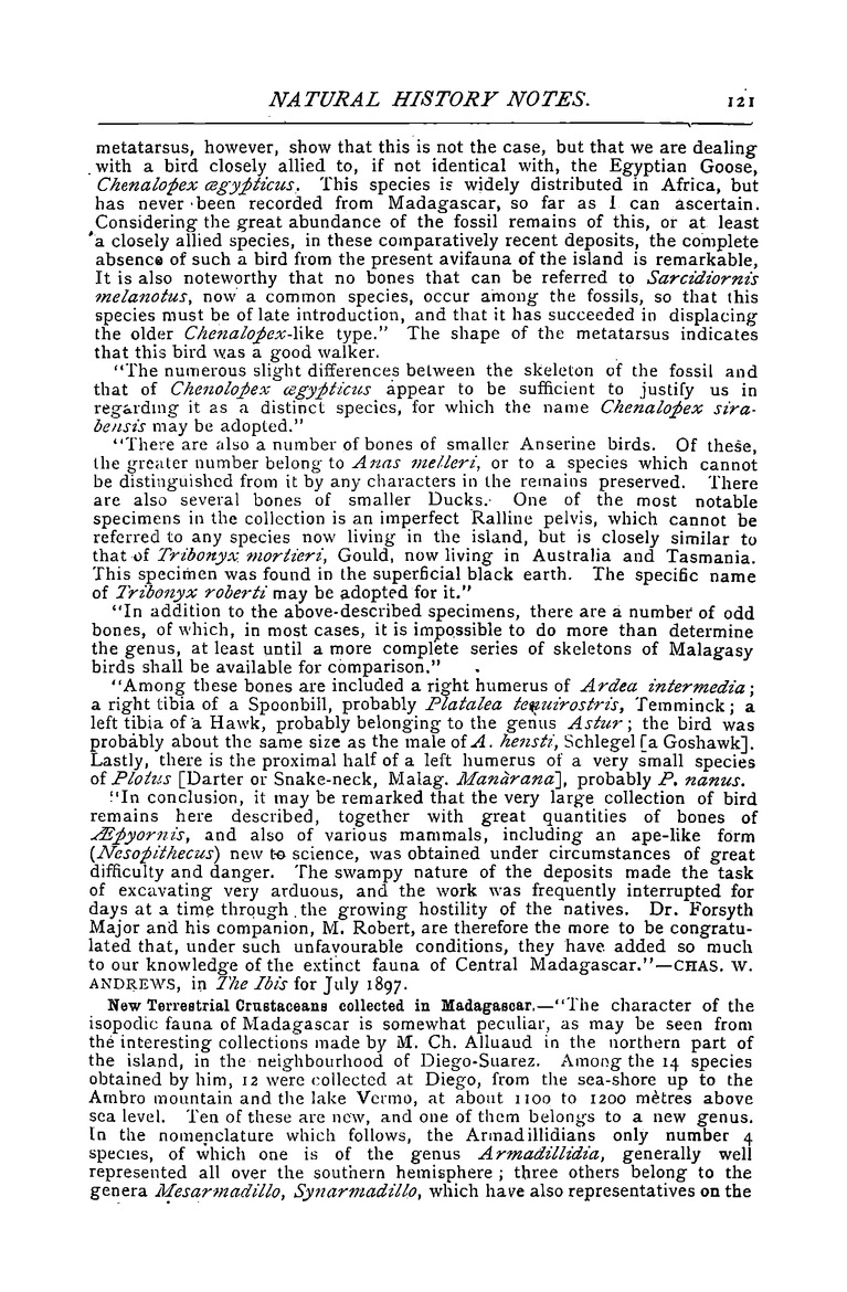 Antananarivo annual and Madagascar magazine - New Page