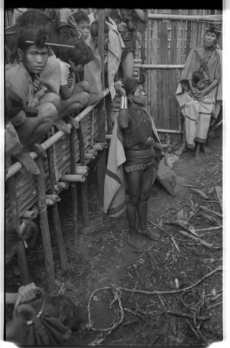 Apatani shaman and crowd at an animal sacrifice - 