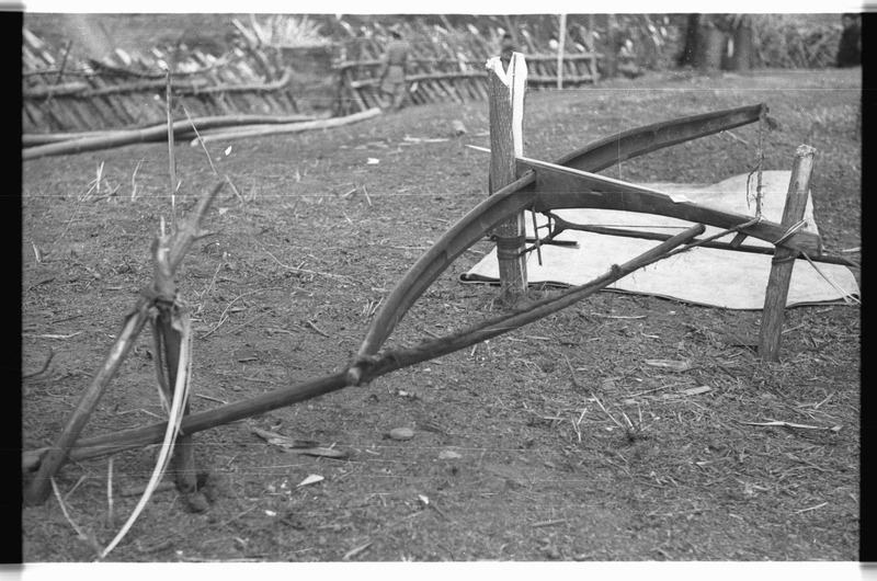 Crossbow mounted as a trap - 