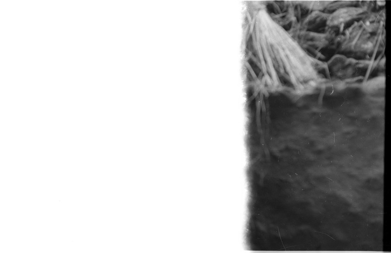 Accidentally taken photograph - 