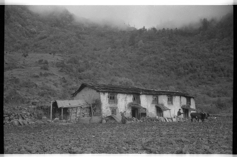 Sherpa houses of Pankoma village - 