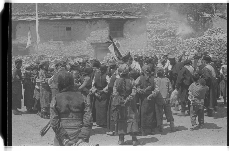 Caravan of Tibetan pack-yaks arriving - 