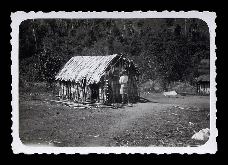 Wood framed building - 