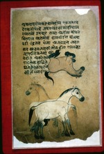 Folio from a Braj Bhasa manuscript of AÅ›varogacikitsÄkalpa by Nakula (Acquisition number 3923)