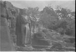 Buddha images at Polonnaruwa, Sri Lanka