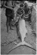 Fish caught in Sri Lanka