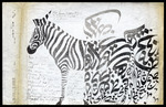 [Calligraphic zebra]