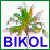 Bikol Language Resources